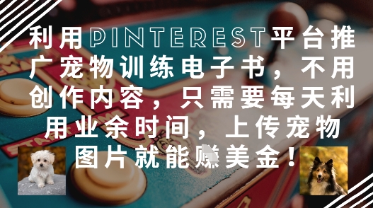 利用Pinterest平台推广宠物训练电子书，不用创作内容，只需要每天利用业余时间，上传宠物图片就能挣美金!跨境课程-外贸教程-精品网课-电商运营课库课堂