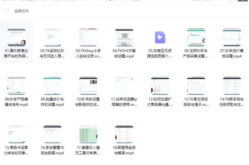 20025eric老师·TikTokShop跨境电商0-1实战