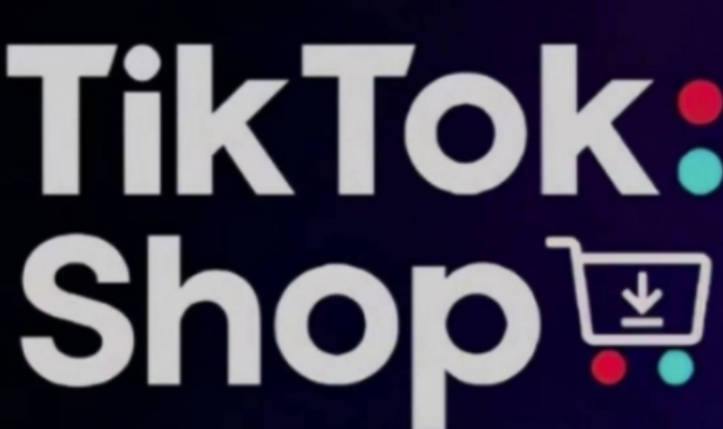 Eric 老师-TikTok Shop 跨境电商 0-1 实战：东南亚市场低成本启动指南跨境课程-外贸教程-精品网课-电商运营课库课堂