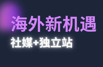 2025 出海冒险家课程 社媒 + 独立站出海新机遇 跨境电商全链路实操跨境课程-外贸教程-精品网课-电商运营课库课堂