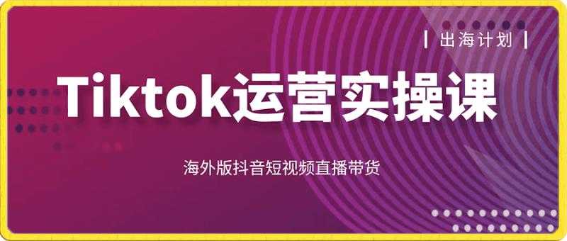 蕾蕾聊跨境:TikTok 技能培训实操课从零到精通运营与变现 跨境电商全链路教程跨境课程-外贸教程-精品网课-电商运营课库课堂