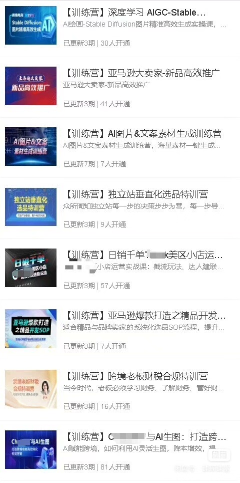 优乐出海专项训练营年卡会员+2025最新资料包