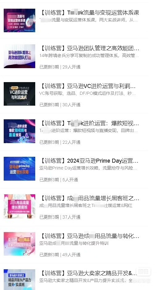 优乐出海专项训练营年卡会员+2025最新资料包