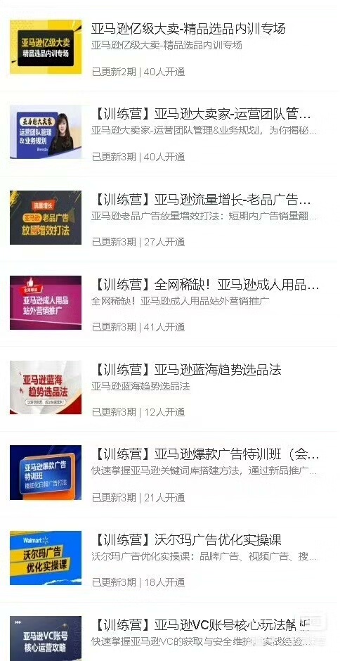 优乐出海专项训练营年卡会员+2025最新资料包