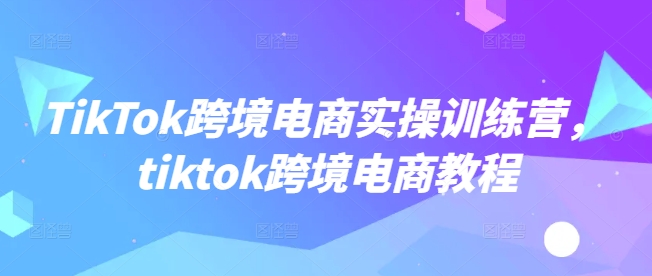 2025TikTok跨境电商从0到1，全域打法实操课跨境课程-外贸教程-精品网课-电商运营课库课堂