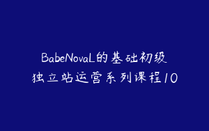 BabeNovaL 基础初级独立站运营系列课程 小白友好 建站 + TikTok 引流 + 支付发货全流程跨境课程-外贸教程-精品网课-电商运营课库课堂