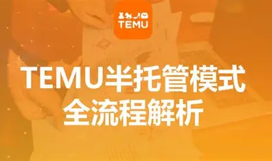 跨境刘叔 TEMU 半托管全流程课程(日本站) 从零起步掌握 TEMU 运营全链路跨境课程-外贸教程-精品网课-电商运营课库课堂