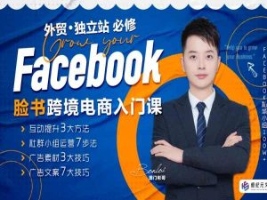 澳门彬哥 Facebook 跨境电商入门课 账号运营到广告投放全流程教程跨境课程-外贸教程-精品网课-电商运营课库课堂
