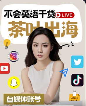 青禾-子涵Nemesis：茶叶出海如何利用ai在海外社媒卖茶掘金课跨境课程-外贸教程-精品网课-电商运营课库课堂