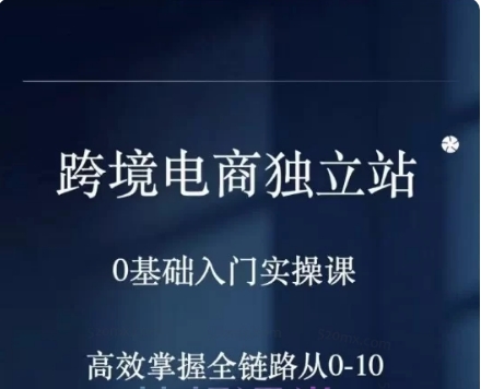 阿熔跨境电商独立站 + 私域线上实操陪跑课 从 0 到 10 全链路运营 + 多平台广告投放跨境课程-外贸教程-精品网课-电商运营课库课堂