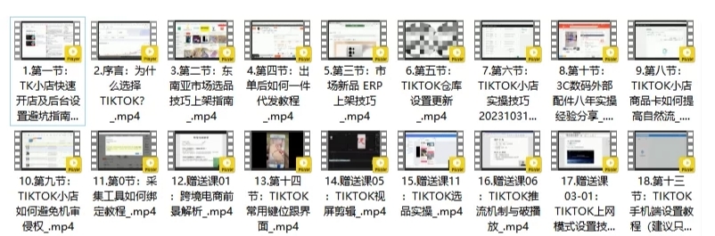 表哥 TikTok 小店短视频直播独立站课程:跨境电商全流程实战教程-课库课堂 表哥 TikTok 小店短视频直播独立站课程:跨境电商全流程实战教程-课库课堂