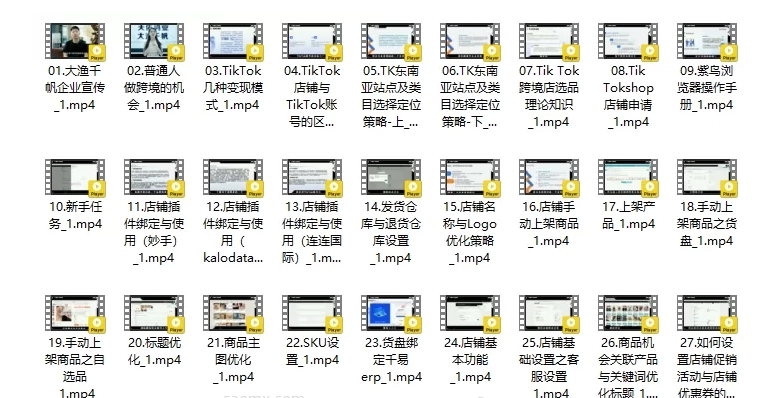 2025大鱼千帆(全套)42节TikTok视频课,东南亚市场掘金与店铺运营全攻略-课库课堂 2025大鱼千帆(全套)42节TikTok视频课,东南亚市场掘金与店铺运营全攻略-课库课堂