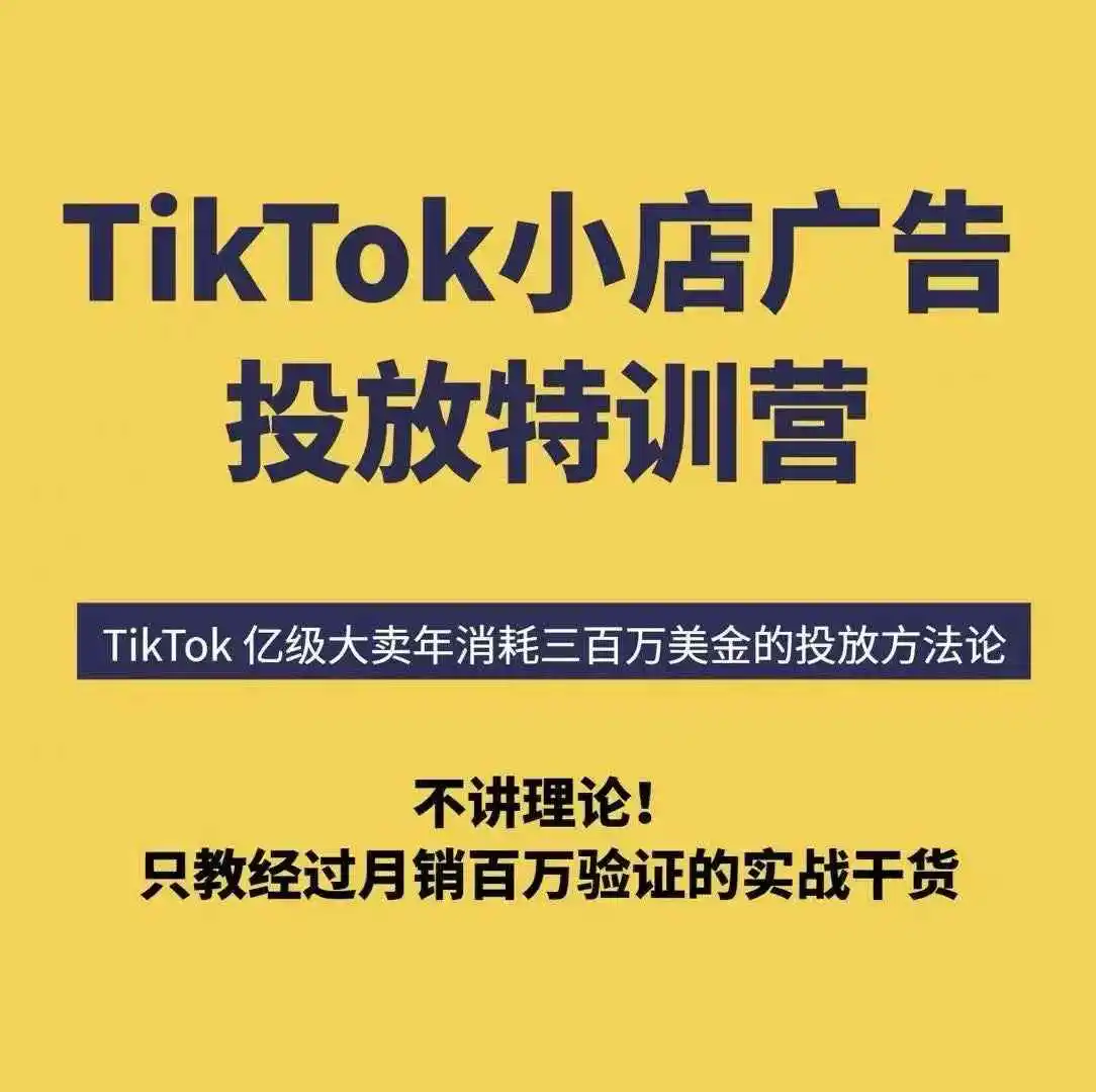 嘀嗒狗数据 TikTok 小店广告投放特训营：谢景鸿主讲玩转 VSA/PSA/LSA 美区 / 东南亚全覆盖跨境课程-外贸教程-精品网课-电商运营课库课堂