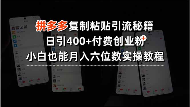 拼多多复制粘贴引流秘籍，日引400+付费创业粉，小白也能月入六位数实操…跨境课程-外贸教程-精品网课-电商运营课库课堂