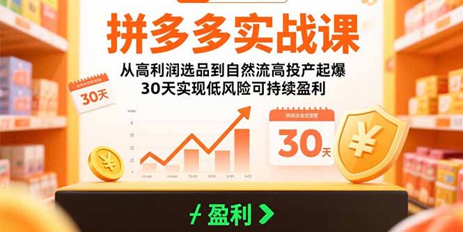 拼多多实战课：从高利润选品到自然流高投产起爆 30天实现低风险可持续盈利跨境课程-外贸教程-精品网课-电商运营课库课堂