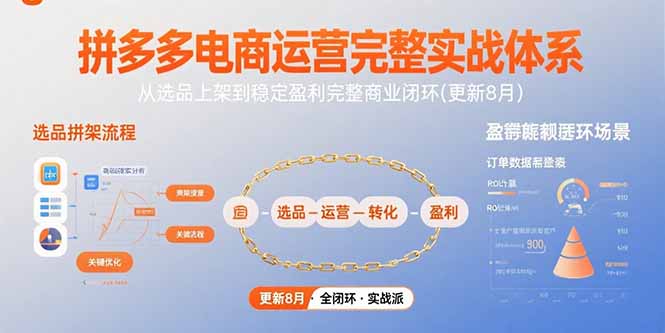 拼多多电商运营完整实战体系，从选品上架到稳定盈利完整商业闭环(更新8月)跨境课程-外贸教程-精品网课-电商运营课库课堂
