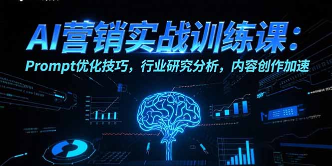 AI营销实战训练课：Prompt优化技巧，行业研究分析，内容创作加速跨境课程-外贸教程-精品网课-电商运营课库课堂