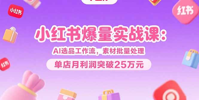 小红书爆量实战课：AI选品工作流，素材批量处理，单店月利润突破25万元跨境课程-外贸教程-精品网课-电商运营课库课堂