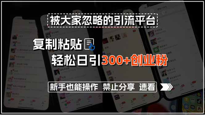 被大家忽略的引流平台，复制粘贴轻松日引300+创业粉，新手也能操作，禁…跨境课程-外贸教程-精品网课-电商运营课库课堂