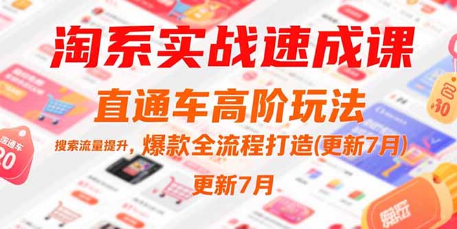 淘系实战速成课，直通车高阶玩法，搜索流量提升，爆款全流程打造(更新7月)跨境课程-外贸教程-精品网课-电商运营课库课堂
