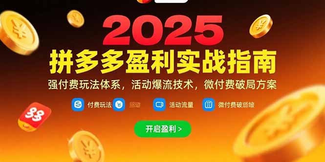 拼多多盈利实战指南，强付费玩法，活动爆流技术，微付费破局方案(更新7月)跨境课程-外贸教程-精品网课-电商运营课库课堂