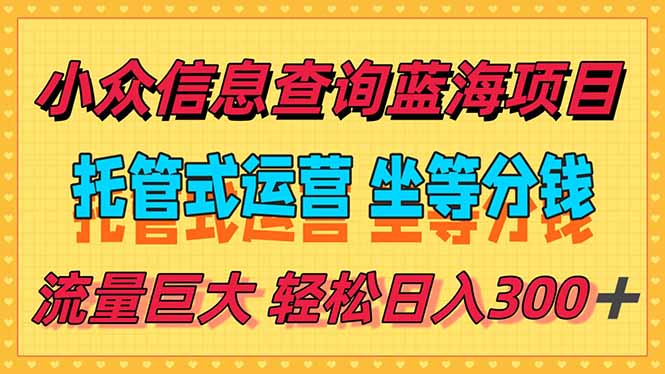 稳定日入300＋，小众信息查询蓝海项目，全程懒人式托管，解放你的时间跨境课程-外贸教程-精品网课-电商运营课库课堂
