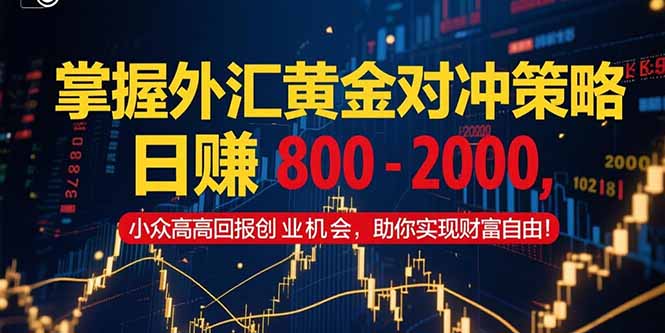 掌握外汇黄金对冲策略，日赚 800 – 2000，小众高回报创业机会，助你实…跨境课程-外贸教程-精品网课-电商运营课库课堂