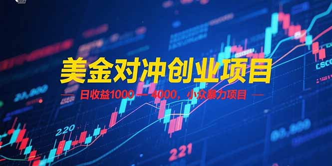 美金对冲创业项目，日收益 1000 – 4000，小众暴力项目跨境课程-外贸教程-精品网课-电商运营课库课堂