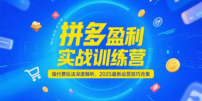 拼多多盈利实战训练营，强付费玩法深度解析，2025运营技巧合集-更新6月跨境课程-外贸教程-精品网课-电商运营课库课堂