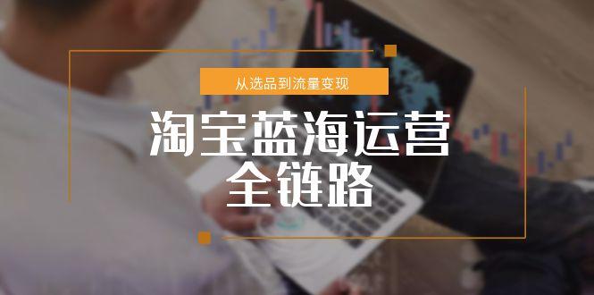 淘宝蓝海运营全链路，从选品到流量变现，小类目突围完整方案跨境课程-外贸教程-精品网课-电商运营课库课堂