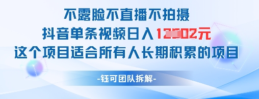 不露脸不直播不拍摄抖音单条视频日入1k+这个项目适合所有人长期积累的项目跨境课程-外贸教程-精品网课-电商运营课库课堂