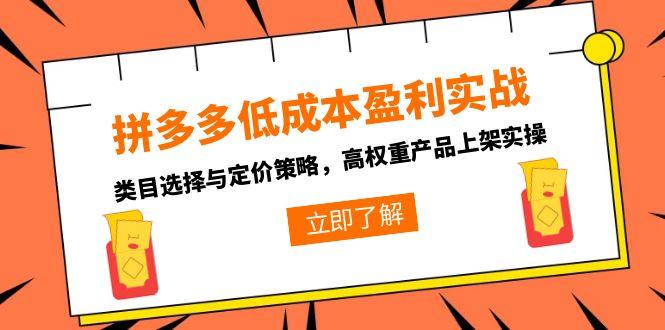拼多多低成本盈利实战，类目选择与定价策略，高权重产品上架实操跨境课程-外贸教程-精品网课-电商运营课库课堂