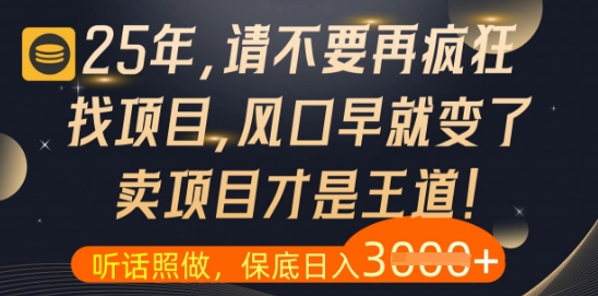 什么？25年你还在疯狂找项目做，醒醒吧，看完这些你全都懂了跨境课程-外贸教程-精品网课-电商运营课库课堂