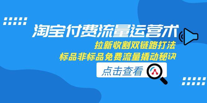淘宝付费流量运营术，拉新收割双链路打法，标品非标品免费流量撬动秘诀跨境课程-外贸教程-精品网课-电商运营课库课堂