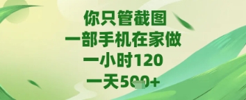 你只管截图，一部手机在家做，苹果安卓都可以，一天5张+跨境课程-外贸教程-精品网课-电商运营课库课堂
