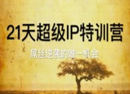 21天超级IP特训营，屌丝逆袭的唯一机会跨境课程-外贸教程-精品网课-电商运营课库课堂