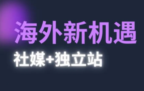 2025出海新机遇(社媒+独立站)，海外新机遇，实现独立站的高效运营与出海跨境课程-外贸教程-精品网课-电商运营课库课堂