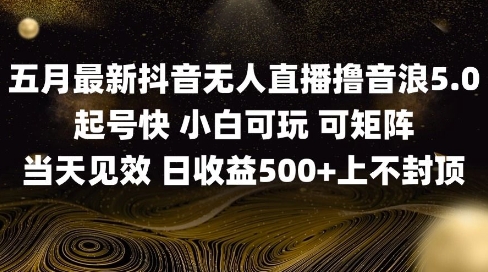 2025五月最新无人直播撸音浪单日产出5张+实操教程跨境课程-外贸教程-精品网课-电商运营课库课堂
