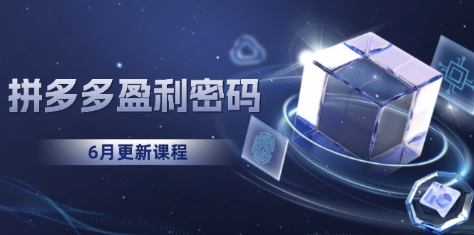 拼多多盈利密码：从烧钱推广到印钞模型，底层逻辑重构指南（6月更新）跨境课程-外贸教程-精品网课-电商运营课库课堂