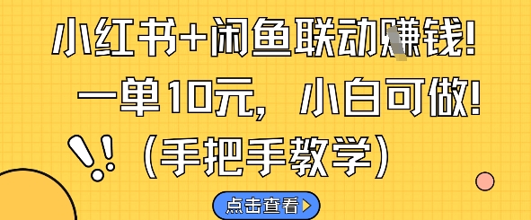 小红书+闲鱼联动挣钱，一单10元，小白可做跨境课程-外贸教程-精品网课-电商运营课库课堂