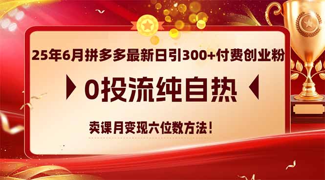 25年6月拼多多最新日引300+付费创业粉，0投流纯自热 卖课月变现六位数方法跨境课程-外贸教程-精品网课-电商运营课库课堂