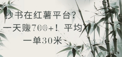 抄书在小红薯平台？平均一单30米，一天收益几张！跨境课程-外贸教程-精品网课-电商运营课库课堂