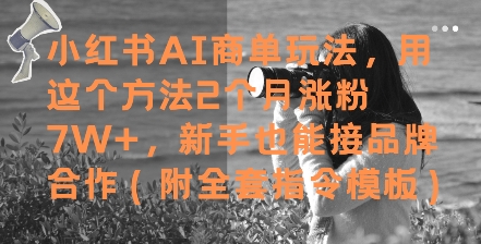 小红书AI商单玩法，用这个方法2个月涨粉7W+，新手也能接品牌合作(附全套指令模板)跨境课程-外贸教程-精品网课-电商运营课库课堂