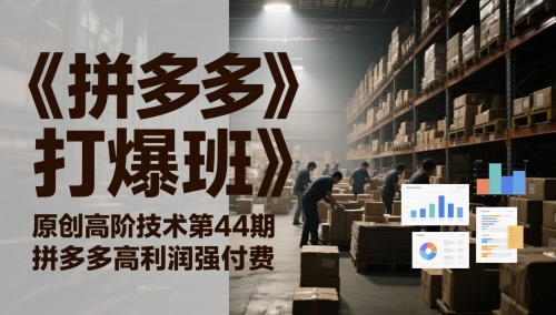 《拼多多打爆班》原创高阶技术第44期，拼多多高利润强付费跨境课程-外贸教程-精品网课-电商运营课库课堂