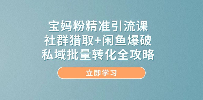宝妈粉精准引流课，社群猎取+闲鱼爆破，私域批量转化全攻略跨境课程-外贸教程-精品网课-电商运营课库课堂
