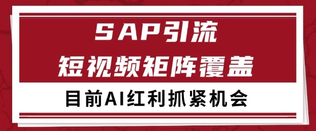 小红书某音sap赛道引流获客 自热矩阵日引200+跨境课程-外贸教程-精品网课-电商运营课库课堂