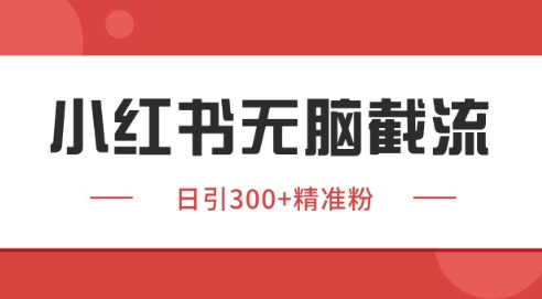 小红书截流同行客源，独家野路子获客玩法 日引200+暴力获客跨境课程-外贸教程-精品网课-电商运营课库课堂