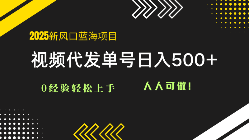 2025视频代发蓝海项目：0经验轻松上手，单号日入500+，人人可做！跨境课程-外贸教程-精品网课-电商运营课库课堂