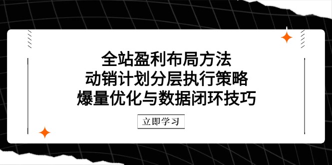 全站盈利布局方法：动销计划分层执行策略，爆量优化与数据闭环技巧跨境课程-外贸教程-精品网课-电商运营课库课堂