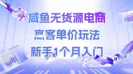 咸鱼无货源电商，高客单价玩法，新手1个月入门跨境课程-外贸教程-精品网课-电商运营课库课堂